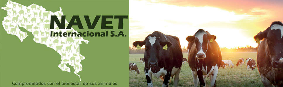 Navet Internacional S.A.